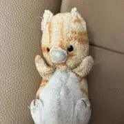 けんしょうパパの画像