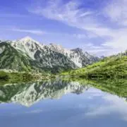 Tの画像