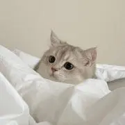Juriの画像
