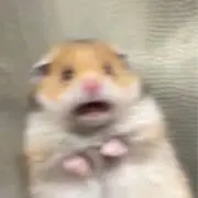 PURUの画像
