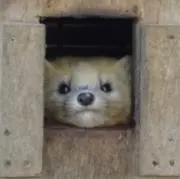 abab(発送まで2〜3日いただきます)の画像