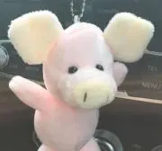 ぶーちゃん