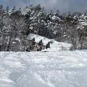 もん