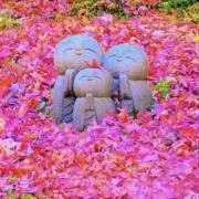 千代ネコの画像