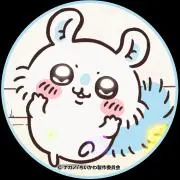 しょこらの画像