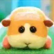 ✳︎mina✳︎の画像