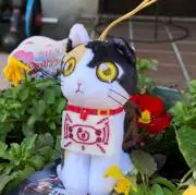 なんくるないさー