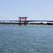 近藤むなしの画像