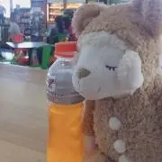 れいんの画像