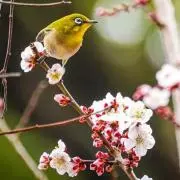 だ〜ますの画像