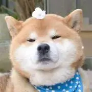 ぽの画像