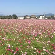 なな✩.*˚お買い得商品出品してます！！の画像