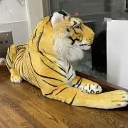 令和のピーターパンの画像