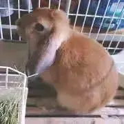 みかん☺︎ぷち断捨離中の画像
