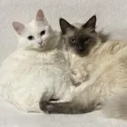ゆうちゃん
