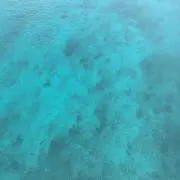 Lの画像