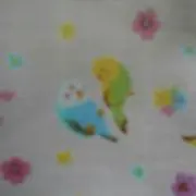 ☆rin✩《プロフ見てね》の画像