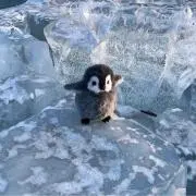 ○の画像