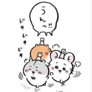 める（7.3-7.7発送できません）の画像