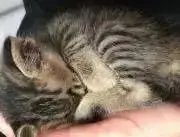 なのお　断捨離中の画像