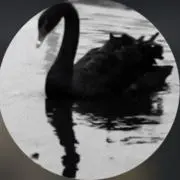 ⠀の画像