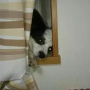 ゆーじの画像