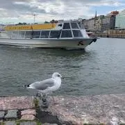 kiiiitosの画像