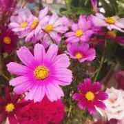 m.plum☆の画像