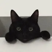 ハヤダイ