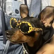 Fumi ※プロフを確認して下さいの画像