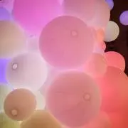 たけの画像