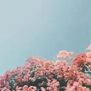 N♡