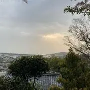 パンダの画像