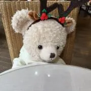 あんの画像