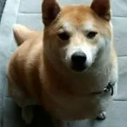 小太郎