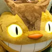 おっちょこぴー