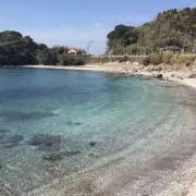 鈴子の画像