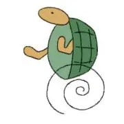 カメの画像