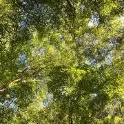 そあの画像
