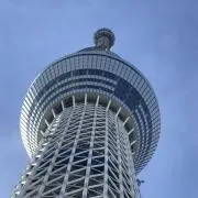 メルノリの画像