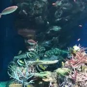 ウサ子の画像