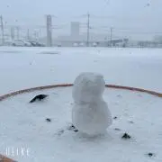 れ*の画像