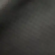 ゴンタの画像