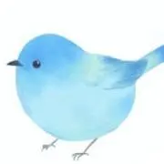 ことりの画像