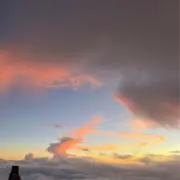 パパスの画像
