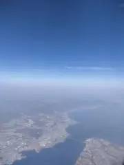 むんちゃんの画像