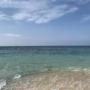 パクパクパークの画像