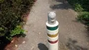 まいまいの画像