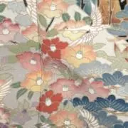太陽の画像