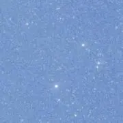 しらす